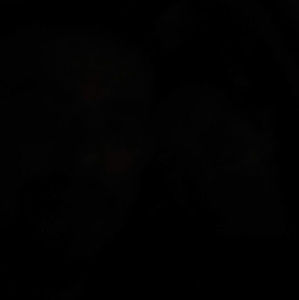 Meet your Posher, Emerson